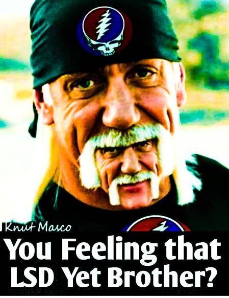 Hulk says Read Tour Head Brothers and Sisters! Grateful Dead, say it again!